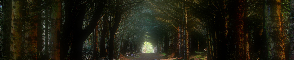 Journeys